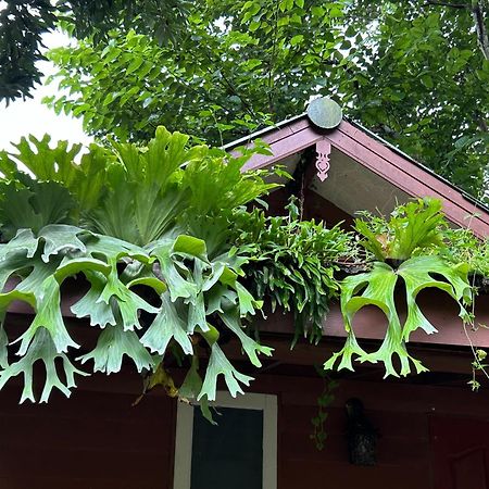 At Home Chiang Dao, Pooch Lovers Ban Tham  Exterior photo
