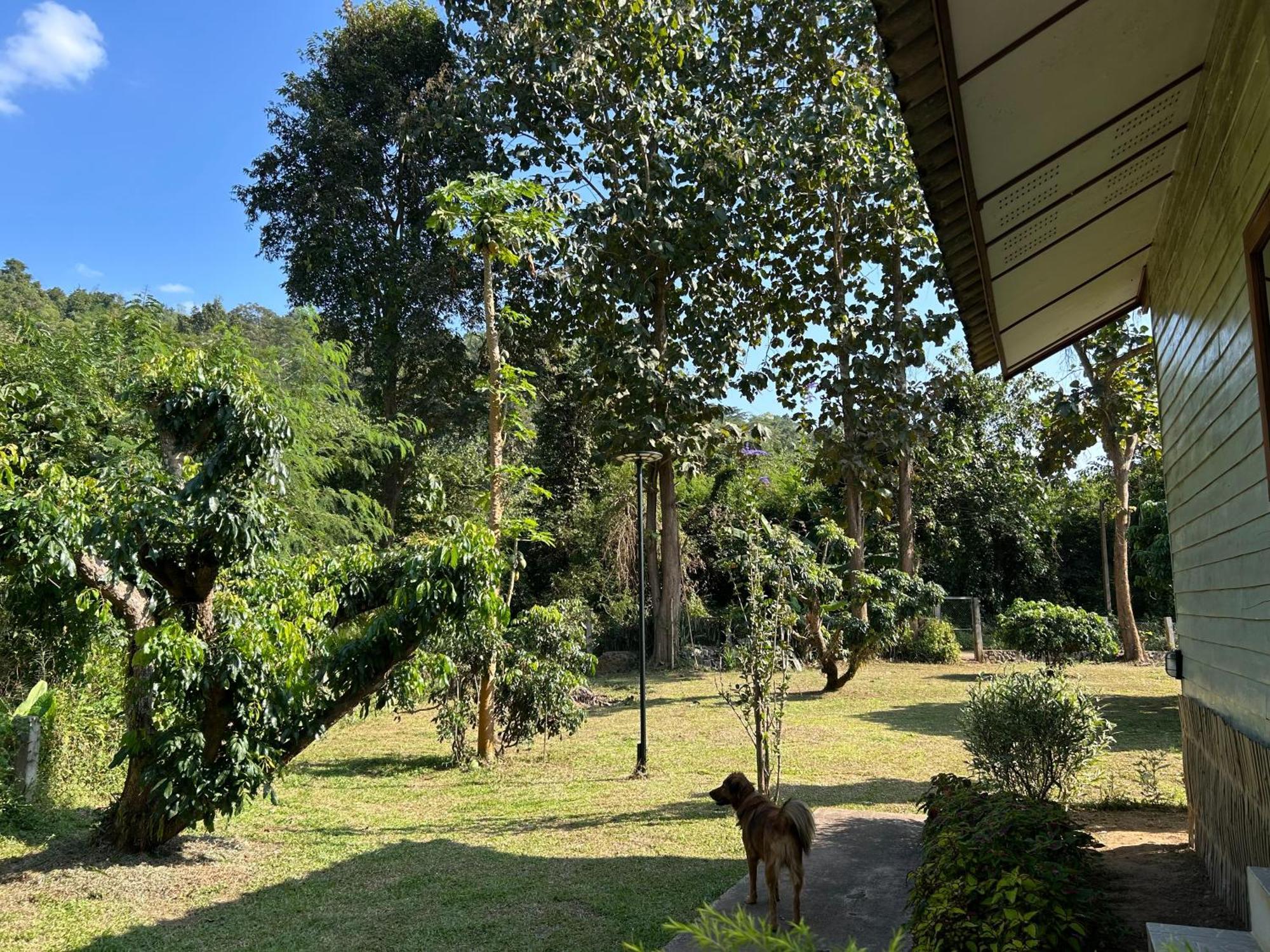 At Home Chiang Dao, Pooch Lovers Ban Tham  Exterior photo