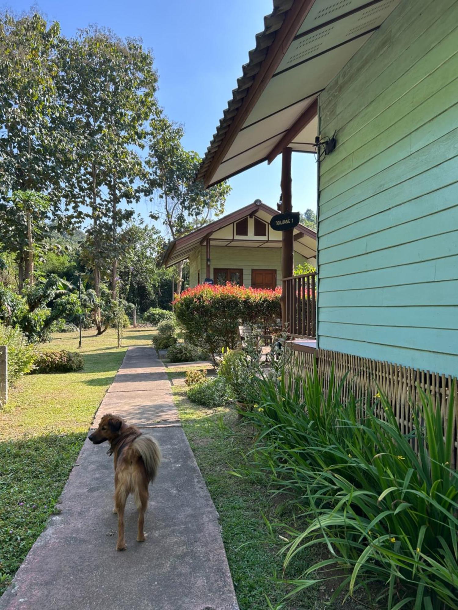 At Home Chiang Dao, Pooch Lovers Ban Tham  Exterior photo